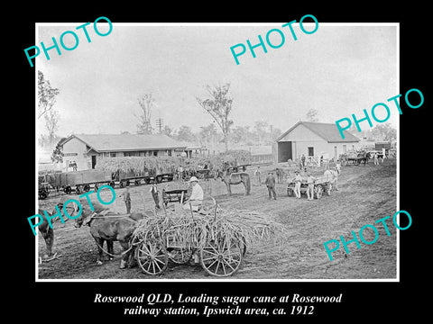 OLD LARGE HISTORIC PHOTO OF ROSEWOOD QLD, LOADING SUGAR AT RAILWAY STATION 1912