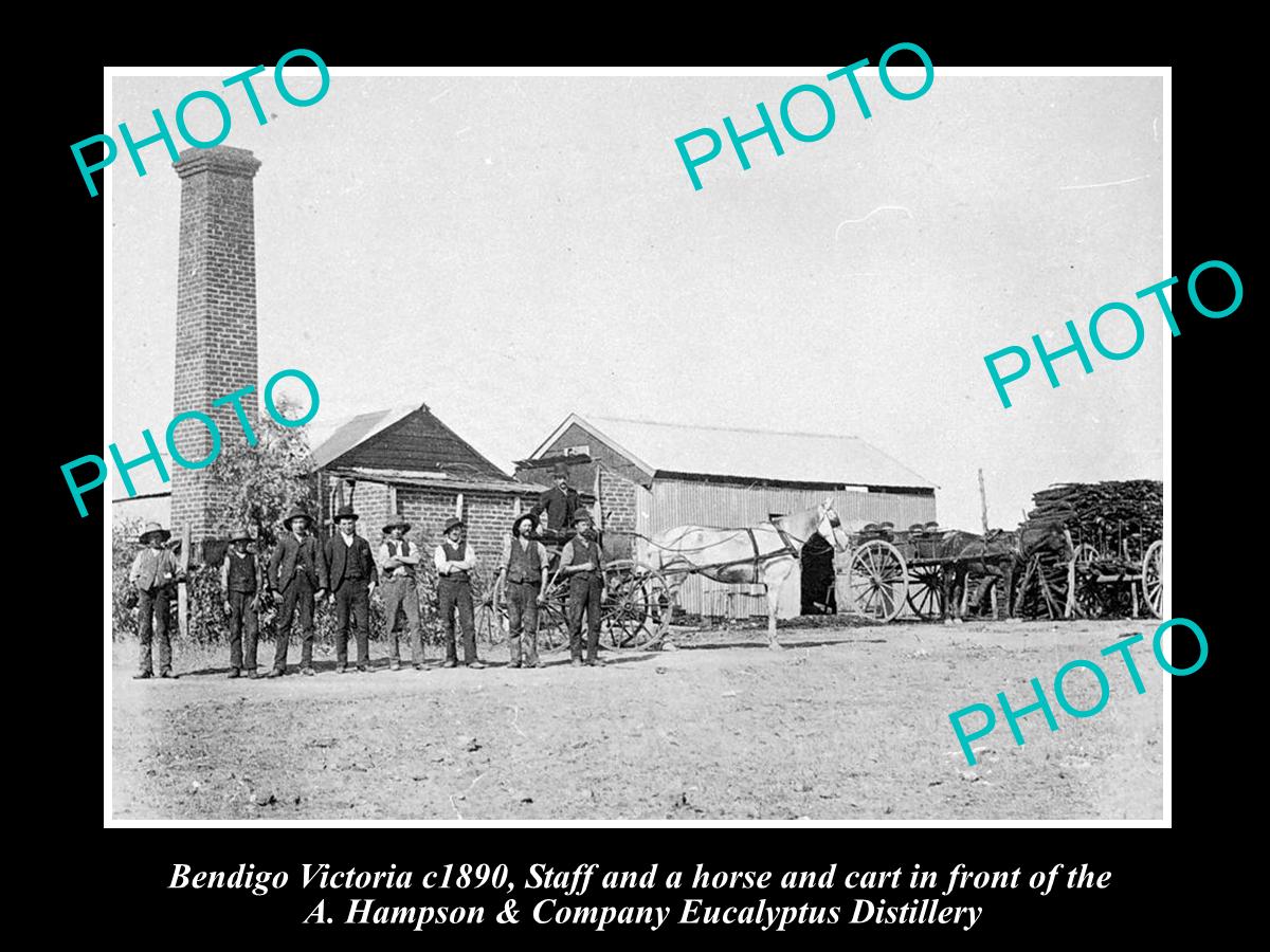 OLD LARGE HISTORIC PHOTO OF BENDIGO VICTORIA, THE EUCALYPTUS FACTORY c1890