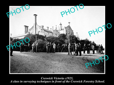 OLD LARGE HISTORIC PHOTO OF CRESWICK VICTORIA, VIEW OF THE FORESTRY SCHOOL c1925