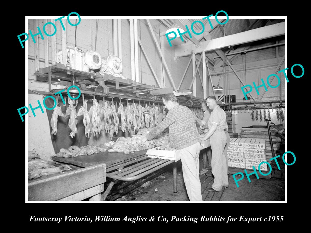 OLD LARGE HISTORIC PHOTO OF FOOTSCRAY VICTORIA, ANGLISS RABBIT FACTORY c1955