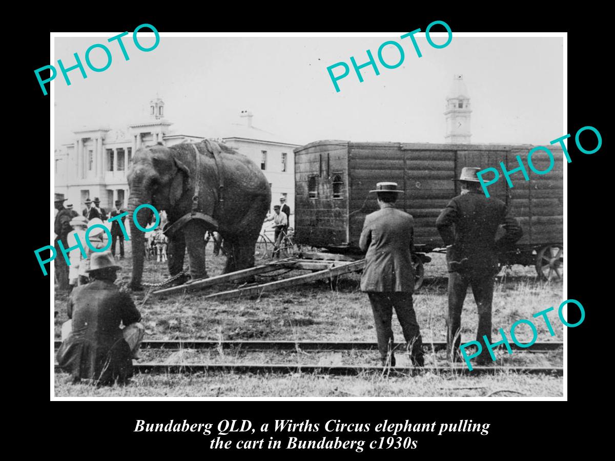 OLD LARGE HISTORIC PHOTO OF BUNDABERG QLD, WIRTHS CIRCUS ELEPHANT & CART c1930s