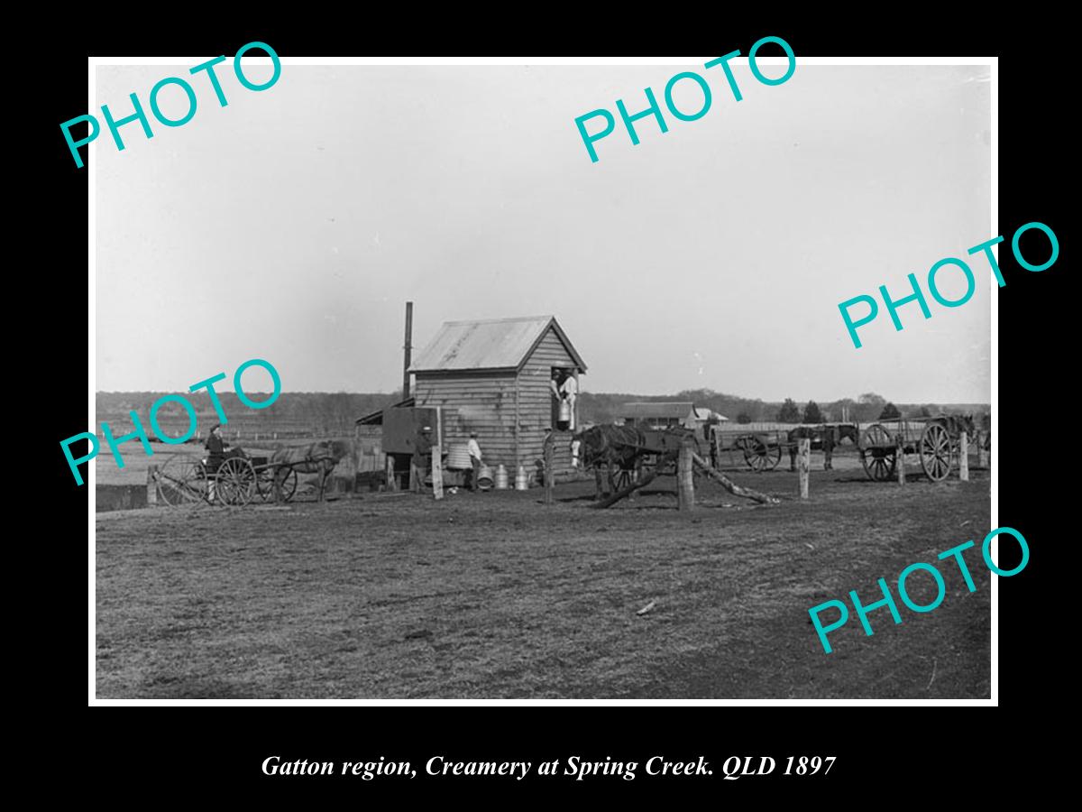 OLD LARGE HISTORIC PHOTO OF GATTON QLD, THE CREAM FACTORY AT SPRING CREEK 1897