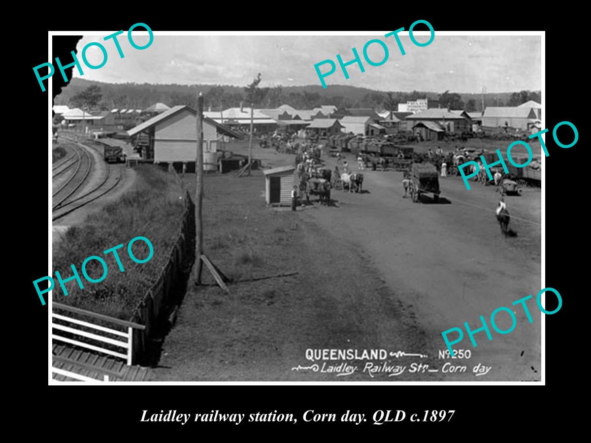 OLD LARGE HISTORIC PHOTO OF LAIDLEY QLD, VIEW OF THE RAILWAY STATION c1897