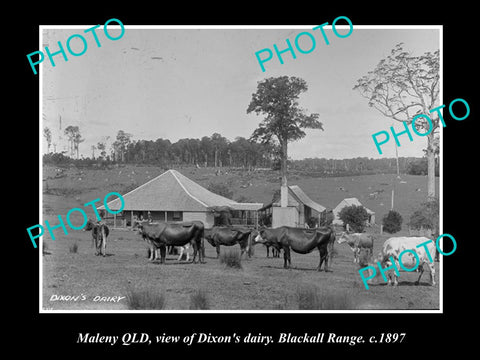 OLD LARGE HISTORIC PHOTO OF MALENY QLD, VIEW OF DIXONS DAIRY BLACKALL RANGE 1897