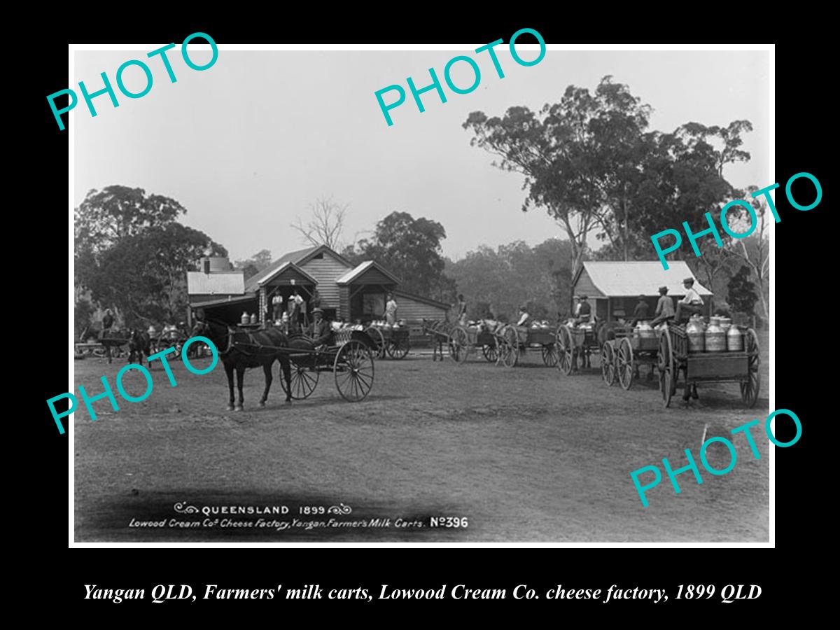 OLD LARGE HISTORIC PHOTO OF YANGAN QLD, THE LOWOOD CREAM Co FACTORY c1899 1