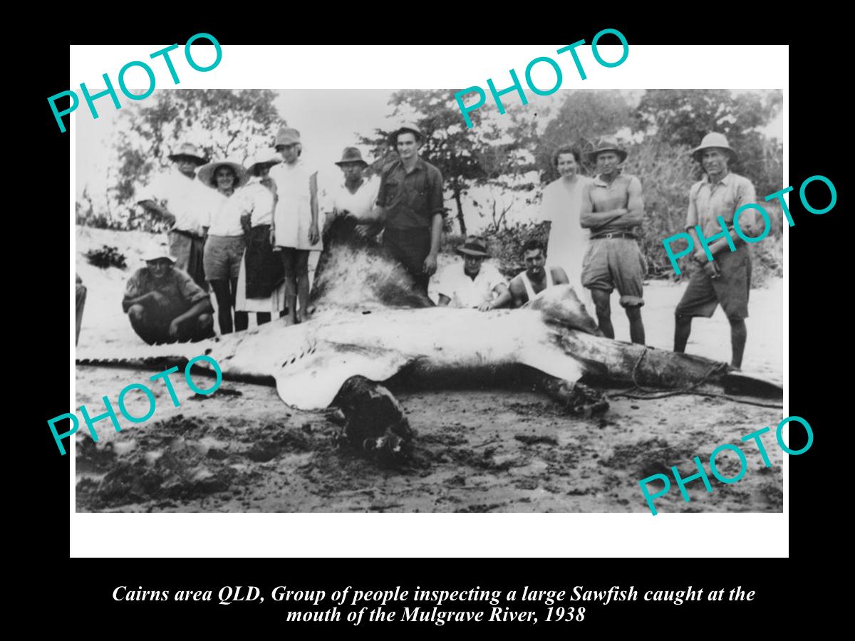 OLD LARGE HISTORIC FISHING PHOTO OF CAIRNS QUEENSLAND, HUGE SAWFISH CAUGHT 1938