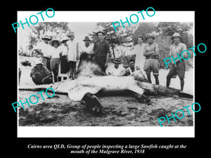 OLD LARGE HISTORIC FISHING PHOTO OF CAIRNS QUEENSLAND, HUGE SAWFISH CAUGHT 1938