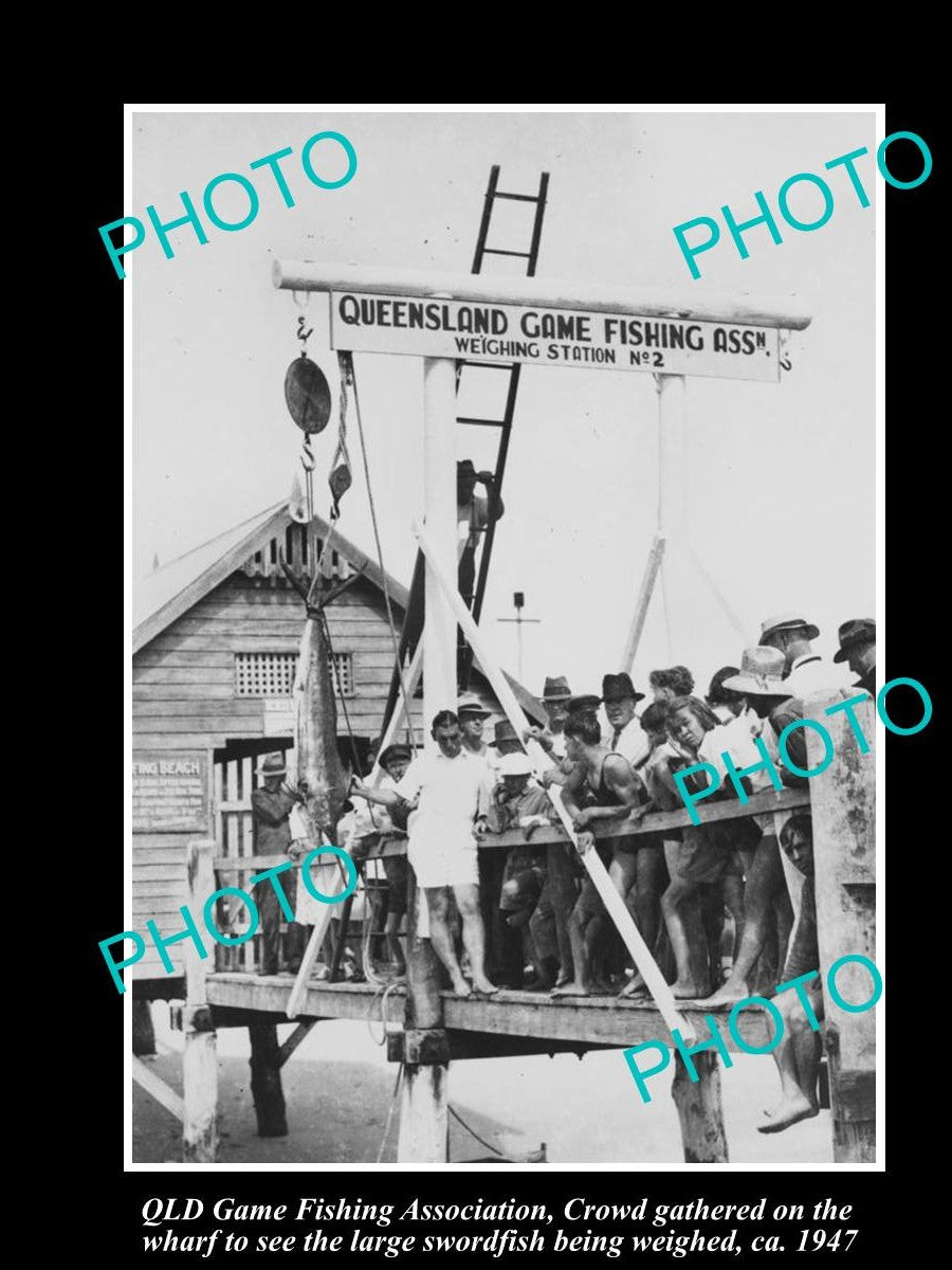 OLD LARGE HISTORIC FISHING PHOTO OF QUEENSLAND GAME FISHING CLUB CATCH 1947