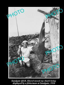 OLD LARGE HISTORIC FISHING PHOTO OF SANDGATE QLD, SHOVEL NOSE SHARK CATCH 1936