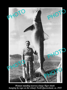 OLD LARGE HISTORIC FISHING PHOTO OF LARGE TIGER SHARK BEING CAUGHT 1935, QLD