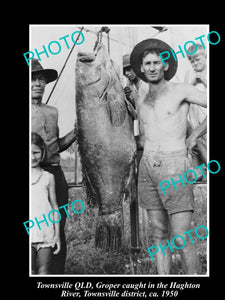 OLD HISTORIC FISHING PHOTO OF TOWNSVILLE QLD LARGE QUEENSLAND GROPER CAUGHT 1950