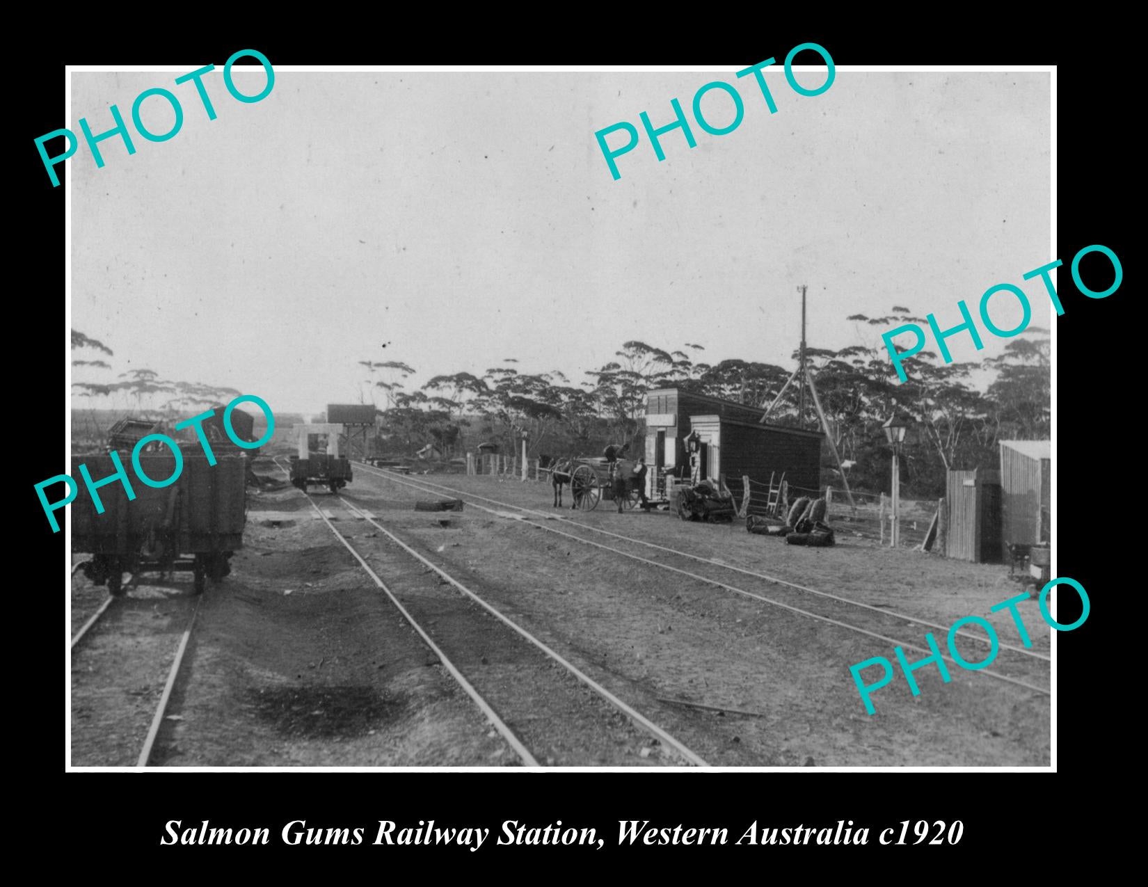 OLD LARGE HISTORIC PHOTO OF SALMON GUMS RAILWAY STATION, WESTERN AUSTRALIA 1920