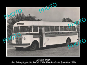 OLD LARGE HISTORIC PHOTO OF IPSWICH QLD, THE RED & WHITE BUS SERVICE c1960s