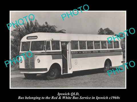 OLD LARGE HISTORIC PHOTO OF IPSWICH QLD, THE RED & WHITE BUS SERVICE c1960s