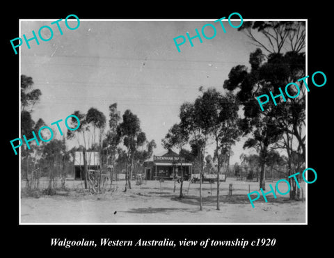 OLD LARGE HISTORIC PHOTO OF WALGOOLAN WESTERN AUSTRALIA, VIEW OF TOWNSHIP c1920