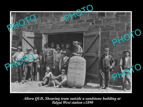 OLD LARGE HISTORIC PHOTO OF ALLORA QLD, TALGAI WEST STATION SHEARERS & WOOL 1890