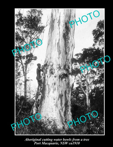 OLD LARGE HISTORIC PHOTO OF NSW ABORIGINAL CUTTING BOWLS FROM TREE TRUCK ca 1910