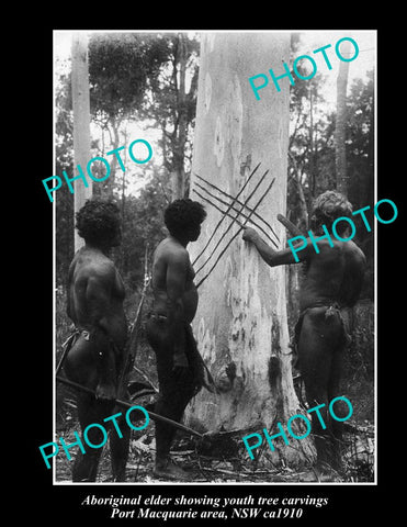 OLD LARGE HISTORIC PHOTO OF NSW ABORIGINAL, ELDER WITH TREE CARVINGS ca 1910