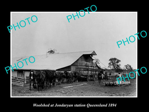 OLD LARGE HISTORIC PHOTO OF JONDARYAN STATION WOOL WAGONS LOADED, QLD 1894