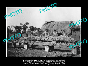 OLD LARGE HISTORIC PHOTO OF CLONCURRY QLD, WOOL DRYING AT BOOMARA STATION c1934