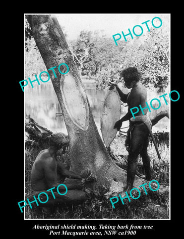 OLD LARGE HISTORIC PHOTO OF NSW ABORIGINAL, MAKING SHIELDS FROM TREES ca1900