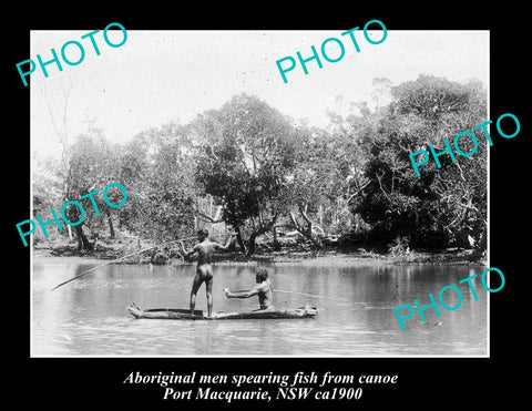 OLD LARGE HISTORIC PHOTO OF ABORIGINALS SPEARING FISH FROM CANOE, ca1900 NSW