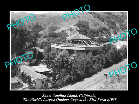 OLD PHOTO OF SANTA CATALINA ISLAND CALIFORNIA, WORLD BIGGEST BIRD CAGE c1938