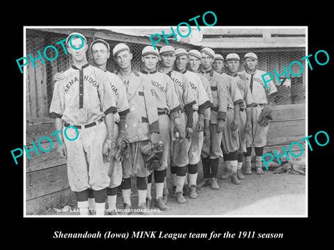 OLD LARGE HISTORIC PHOTO OF SHENANDOAH IOWA, THE MINK LEAGUE BASEBALL TEAM c1911