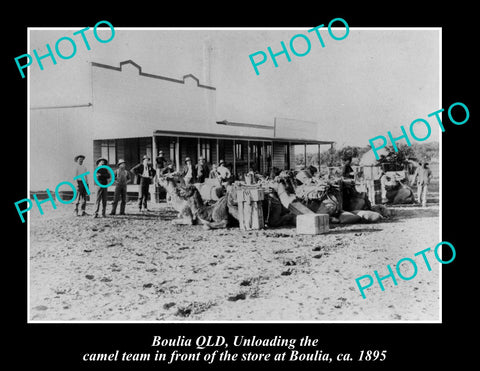 OLD LARGE HISTORIC PHOTO OF BOULIA QLD, UNLOADING CAMELS IN FRONT OF STORE 1895