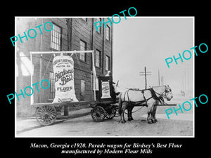 OLD LARGE HISTORIC PHOTO OF MACON GEORGIA, BIRDSEYS BEST FLOUR PARADE WAGON 1920