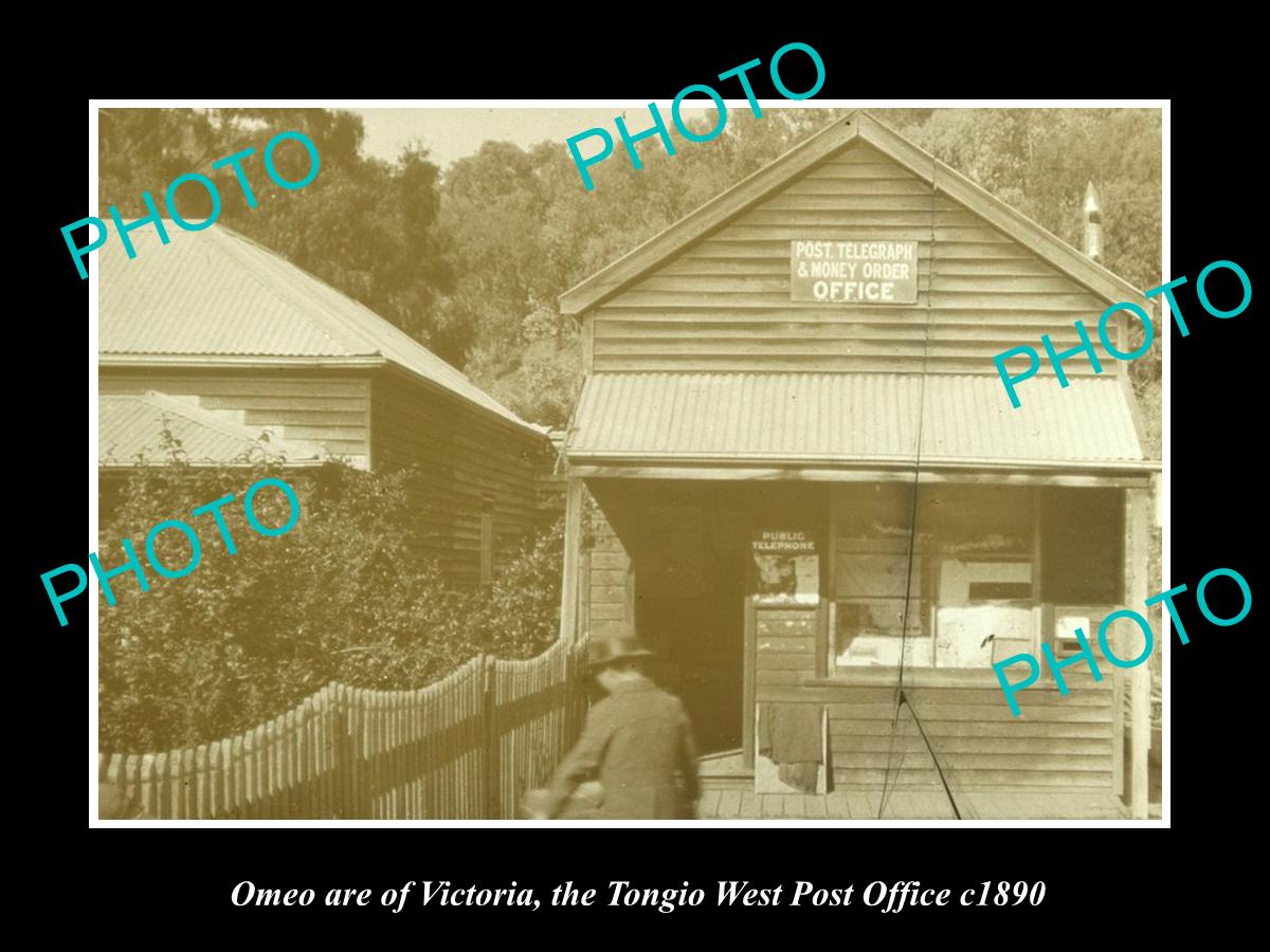 OLD LARGE HISTORIC PHOTO OF OMEO VICTORIA, THE TONGIO WEST POST OFFICE c1890