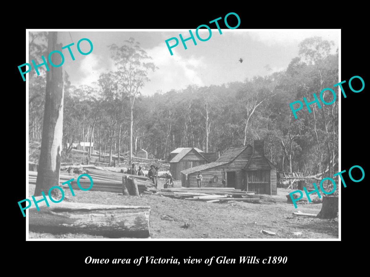 OLD LARGE HISTORIC PHOTO OF OMEO VICTORIA, VIEW OF GLEN WILLS c1890