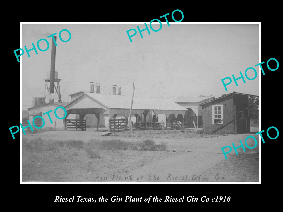 OLD LARGE HISTORIC PHOTO OF RIESEL TEXAS, THE RIESEL GIN Co FACTORY c1910