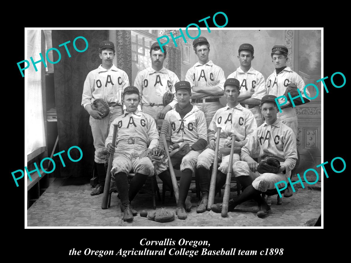 OLD LARGE HISTORIC PHOTO OF CORVALLIS, THE OREGON COLLEGE BASEBALL TEAM c1898