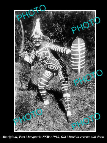 OLD LARGE HISTORIC PHOTO OF ABORIGINAL MURRI MAN IN CEREMONIAL DRESS c1900