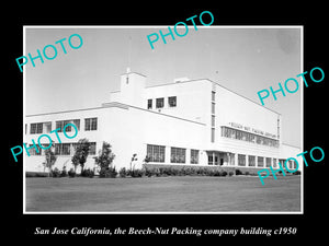 OLD LARGE HISTORIC PHOTO OF SAN JOSE CALIFORNIA, THE BEECH NUT FACTORY c1950