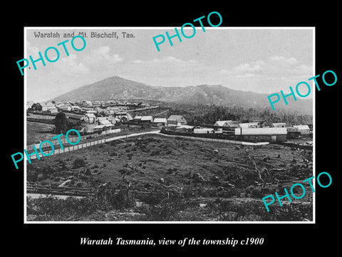 OLD LARGE HISTORIC PHOTO OF WARATAH TASMANIA, VIEW OF THE TOWNSHIP c1900