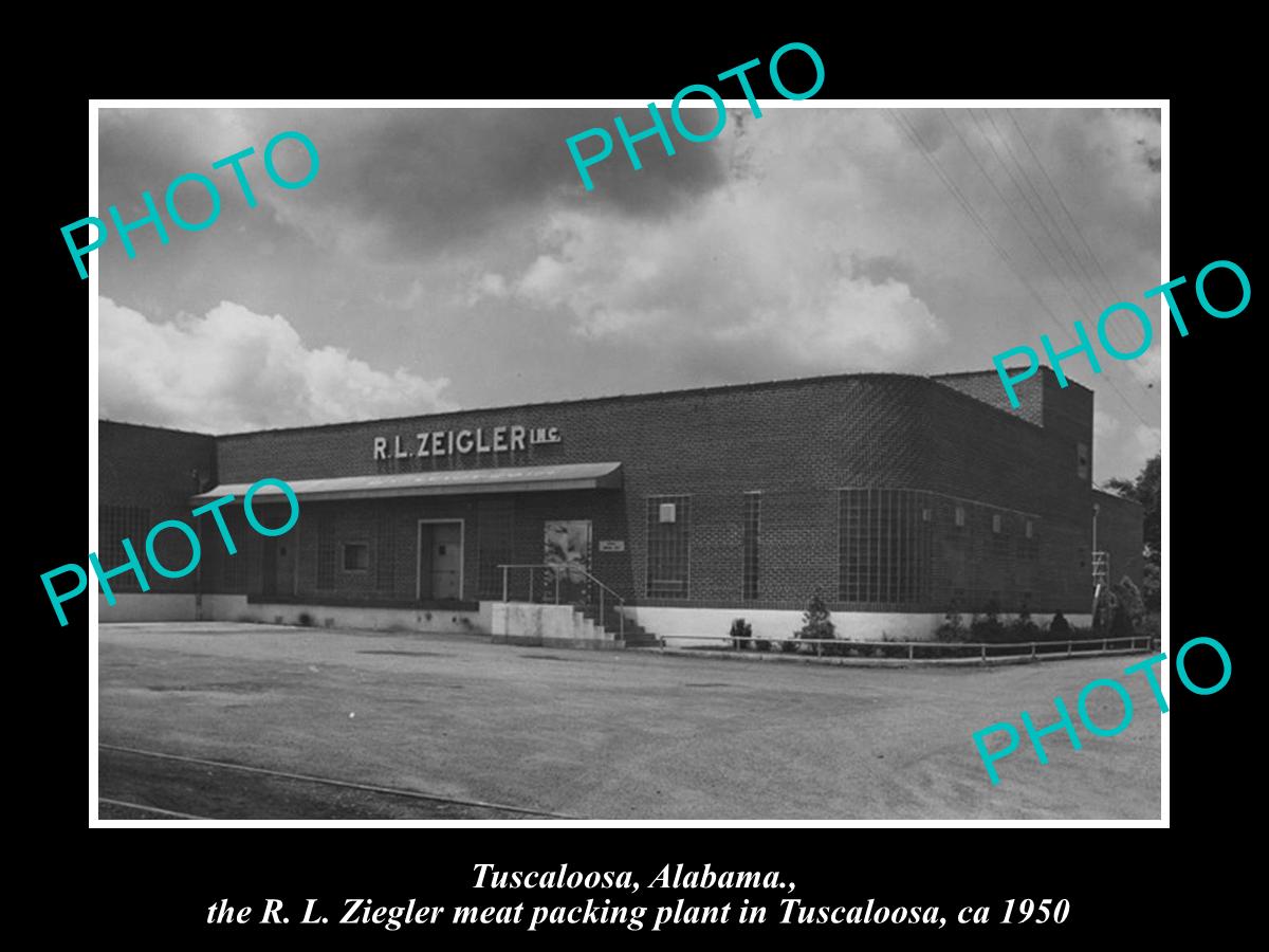 OLD LARGE HISTORIC PHOTO OF TUSCALOOSA ALABAMA, THE ZIEGLER MEAT FACTORY c1950