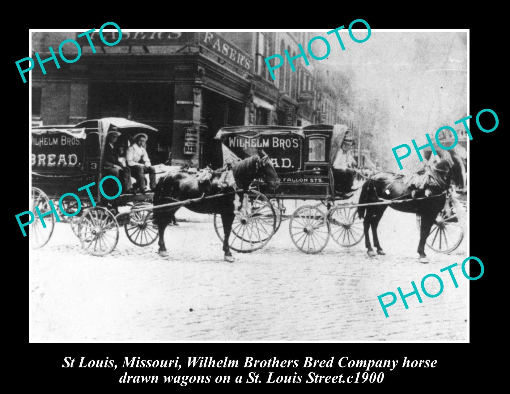 OLD LARGE HISTORIC PHOTO OF ST LOUIS MISSOURI, WILHELM BAKERY WAGONS c1900