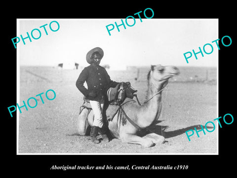 OLD LARGE HISTORIC PHOTO OF ABORIGINAL NT POLICE TRACKER & CAMEL c1910