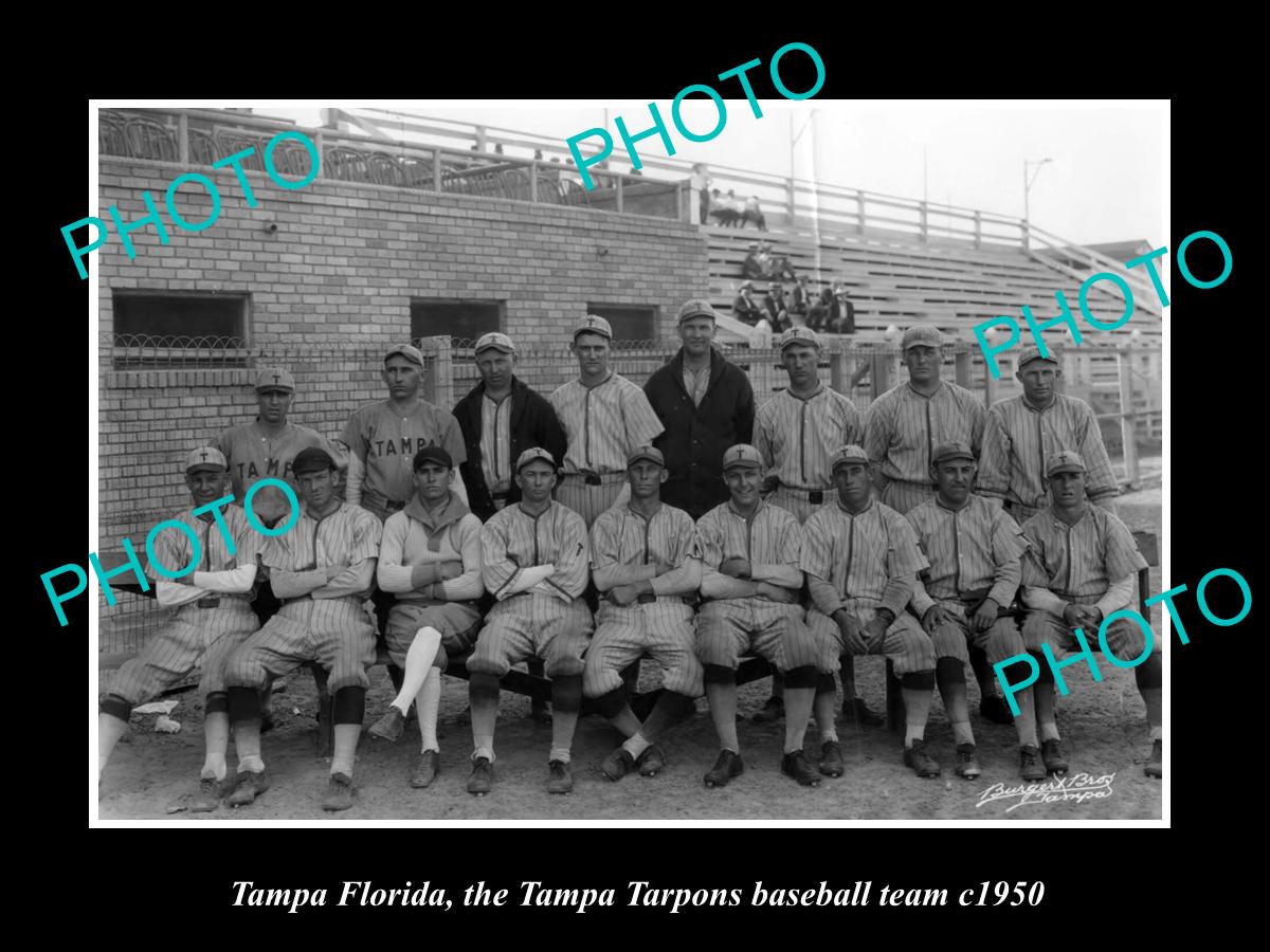 OLD LARGE HISTORIC PHOTO OF TAMPA FLORIDA, THE TAMPA TARPONS BASEBALL TEAM 1950