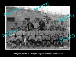 OLD LARGE HISTORIC PHOTO OF TAMPA FLORIDA, THE TAMPA TARPONS BASEBALL TEAM 1950