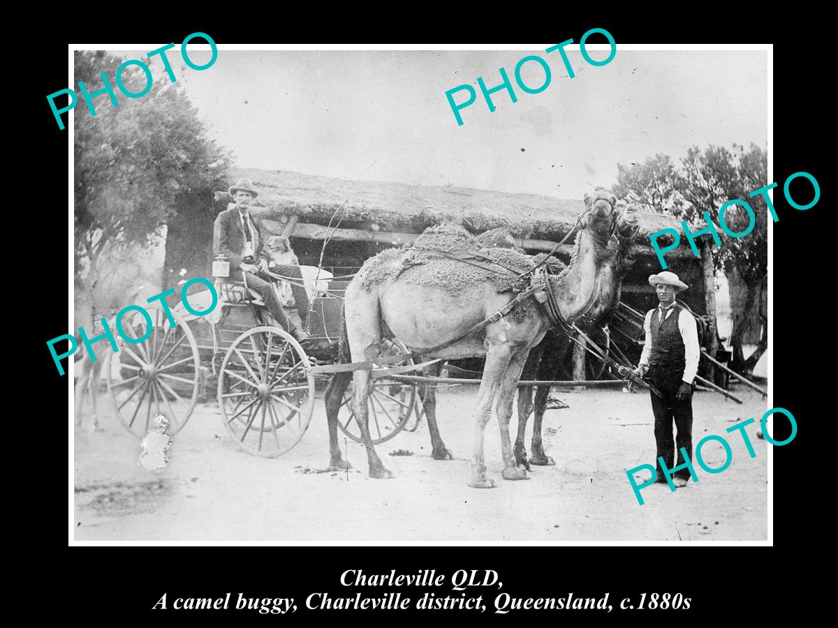 OLD LARGE HISTORIC PHOTO OF CHARLEVILLE QLD, VIEW OF THE CAMEL BUGGY c1880s