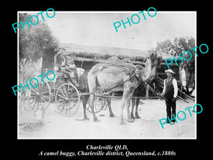 OLD LARGE HISTORIC PHOTO OF CHARLEVILLE QLD, VIEW OF THE CAMEL BUGGY c1880s