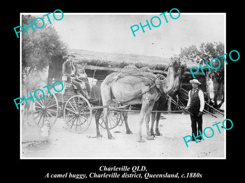 OLD LARGE HISTORIC PHOTO OF CHARLEVILLE QLD, VIEW OF THE CAMEL BUGGY c1880s