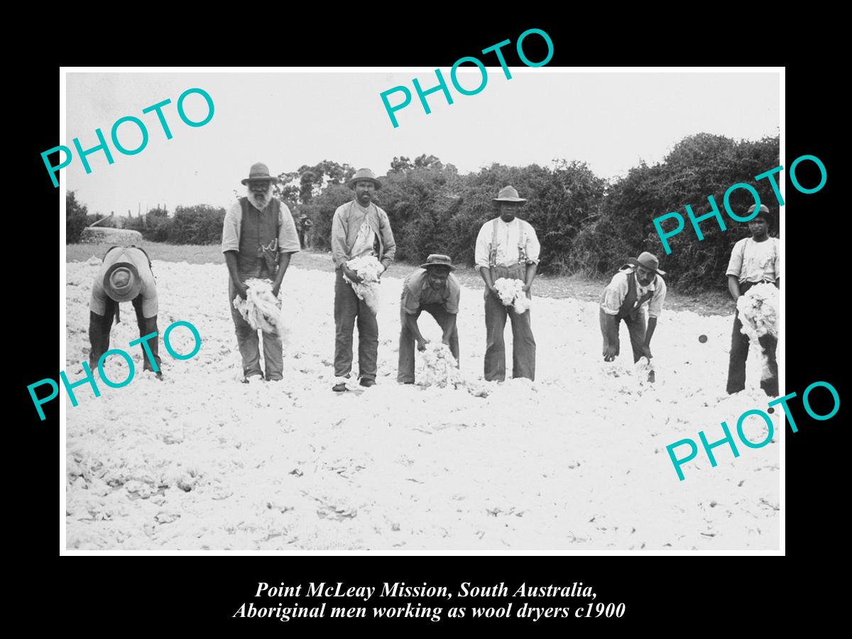 OLD LARGE HISTORIC PHOTO OF POINT McLEAY SA, ABORIGINAL WOOL WASHERS c1900