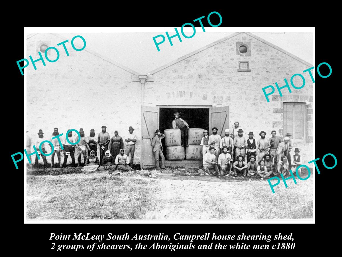 OLD LARGE HISTORIC PHOTO OF POINT McLEAY SA, ABORIGINAL & WHITE SHEARERS c1880