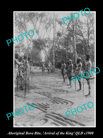 OLD LARGE HISTORIC PHOTO OF ABORIGINAL BORA CEREMONY, ARRIVIAL OF THE KING c1900