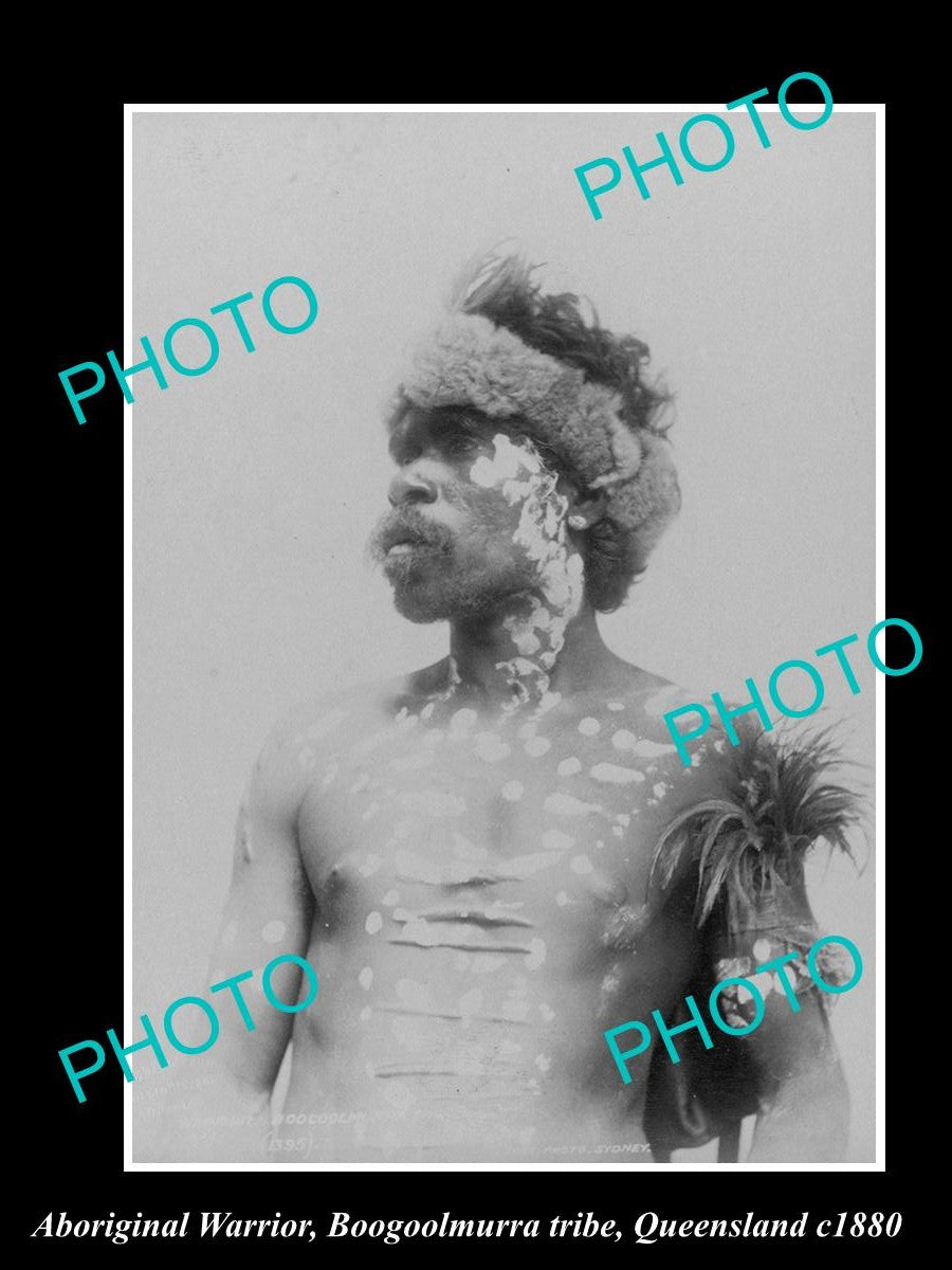 OLD LARGE HISTORIC PHOTO OF ABORIGINAL WARRIOR, BOOGOOLMURRA TRIBE QLD c1880