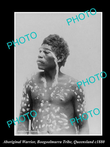 OLD LARGE HISTORIC PHOTO OF ABORIGINAL WARRIOR, BOOGOOLMURRA TRIBE QLD c1880 1